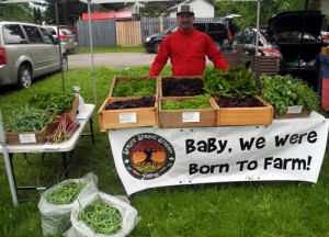 Fernie Farmers Market - Fresh local produce from Spruce Spring Stream Farms